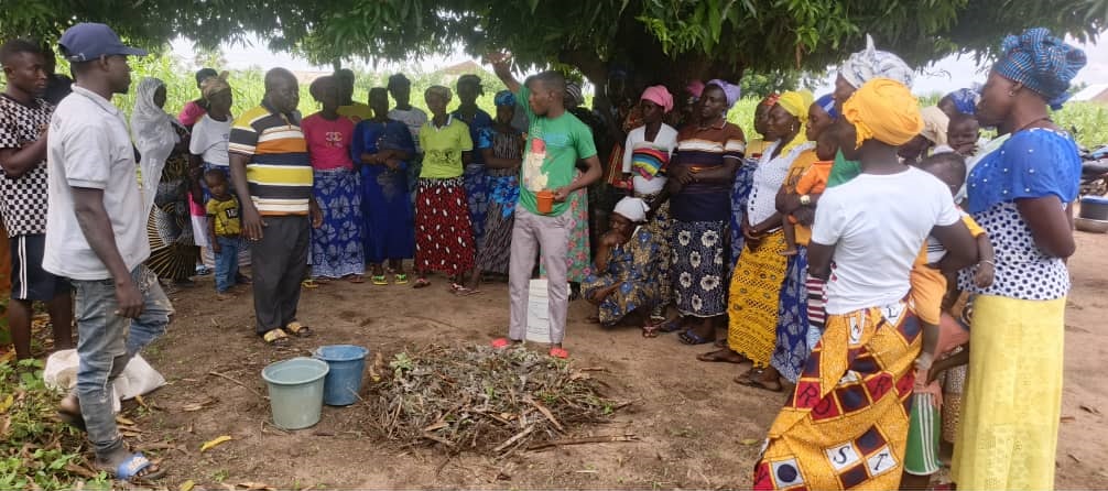 img 20250828 wa0124 img 20250828 wa0124