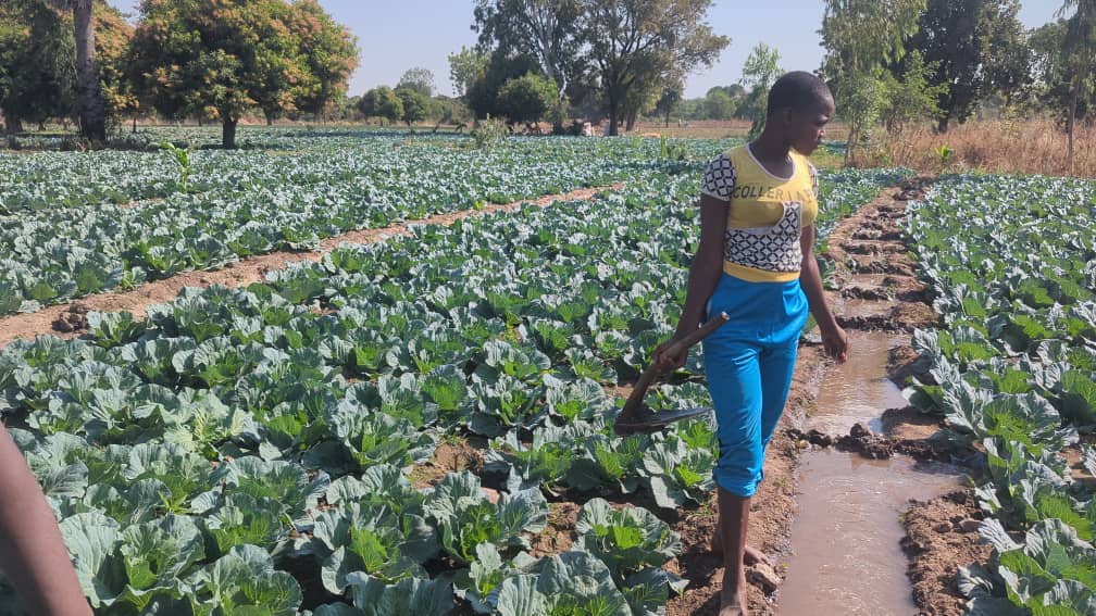 whatsapp image 2026 01 05 at 09.08.11.jpeg fille tierou